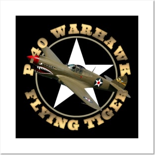 P-40 Warkhawk Flying Tiger WW2 Warbirds WarPlanes Posters and Art